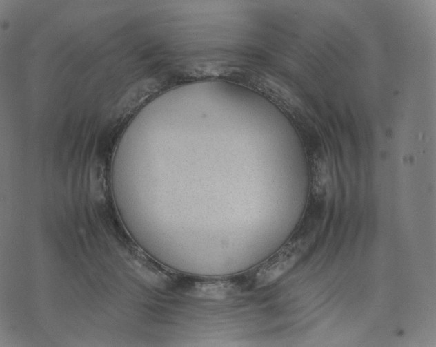 X0000070370414200606231652