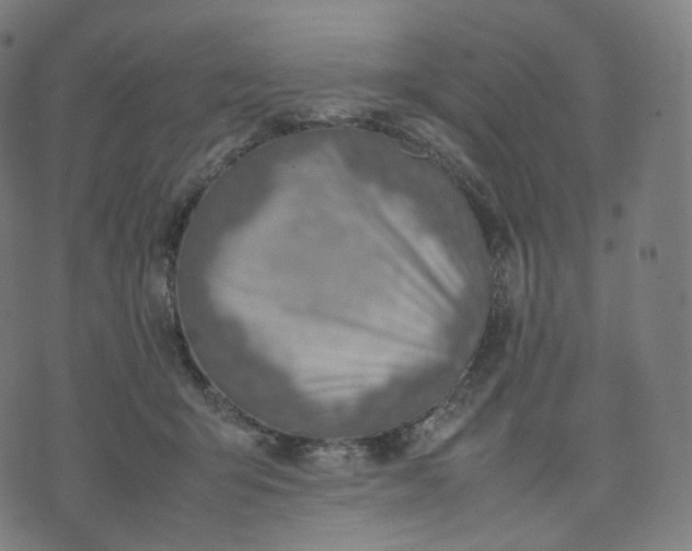 X0000070370415200606231652