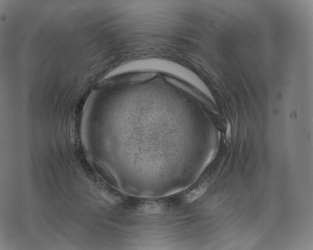 X0000070370416200606231652