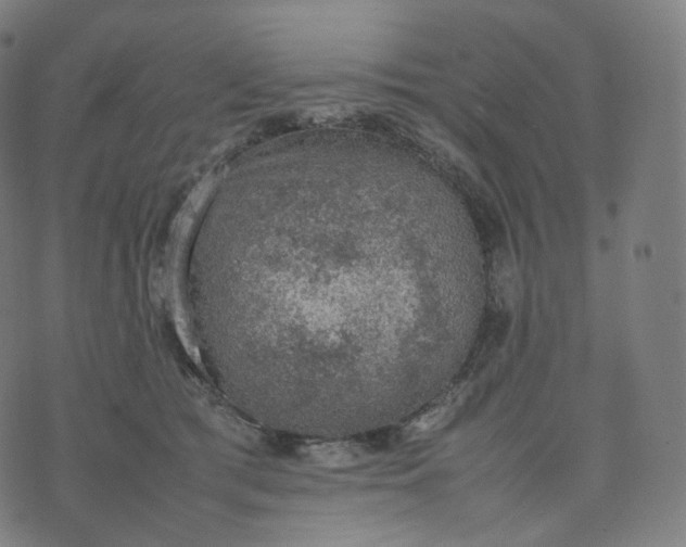 X0000070370417200606231652