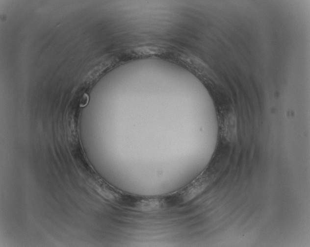 X0000070370418200606231652