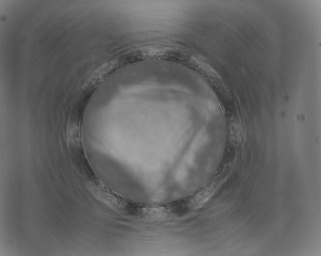 X0000070370419200606231652