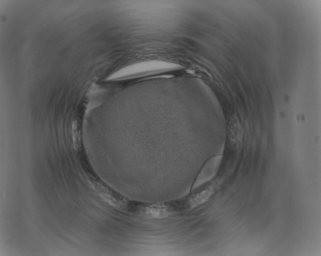 X0000070370420200606231652