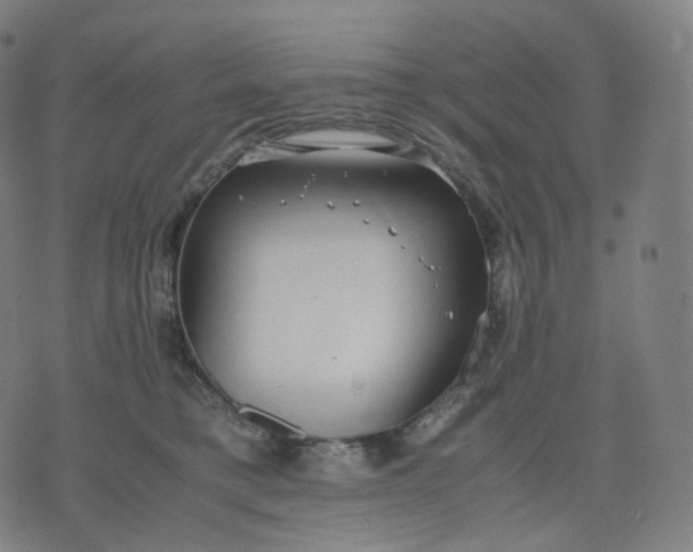 X0000070370421200606231652