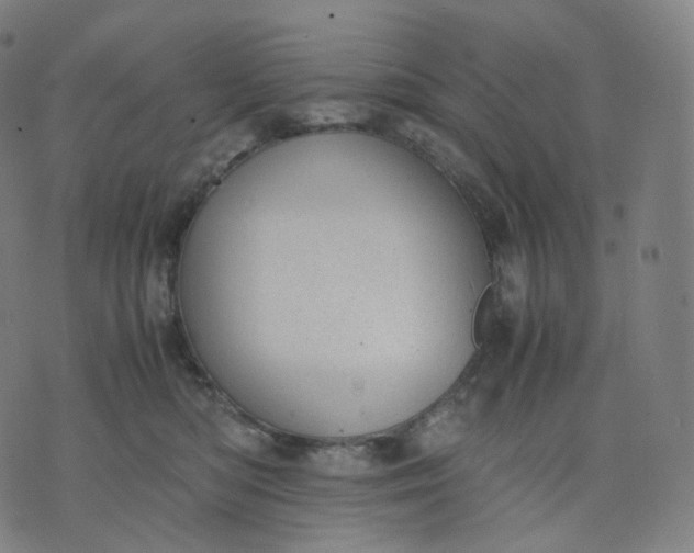 X0000070370422200606231652