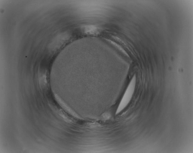 X0000070370424200606231652