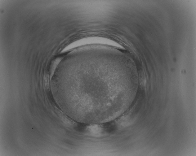 X0000070370425200606231652