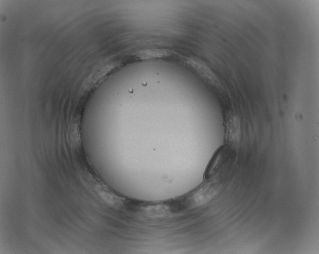 X0000070370426200606231652