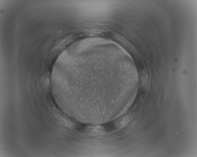 X0000070370427200606231652