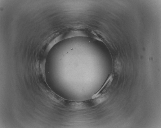 X0000070370428200606231652