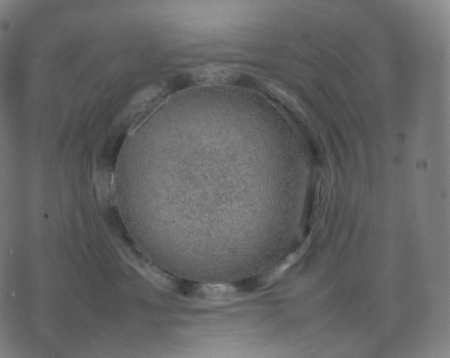 X0000070370429200606231652