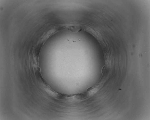 X0000070370430200606231652