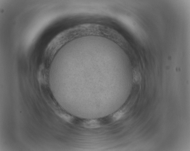 X0000070370431200606231652