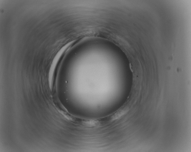 X0000070370432200606231652