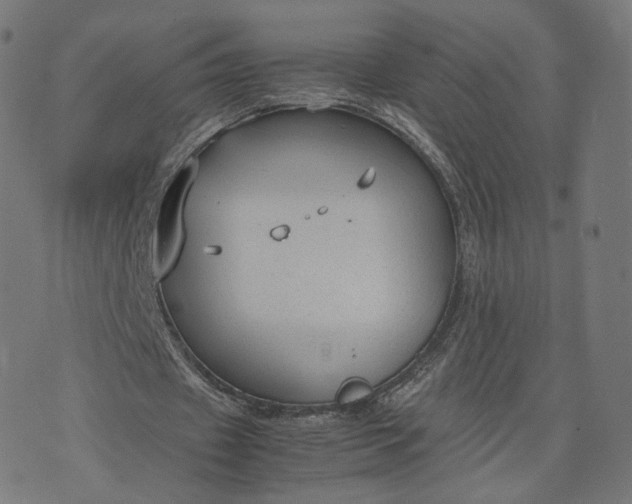 X0000070370433200606231651