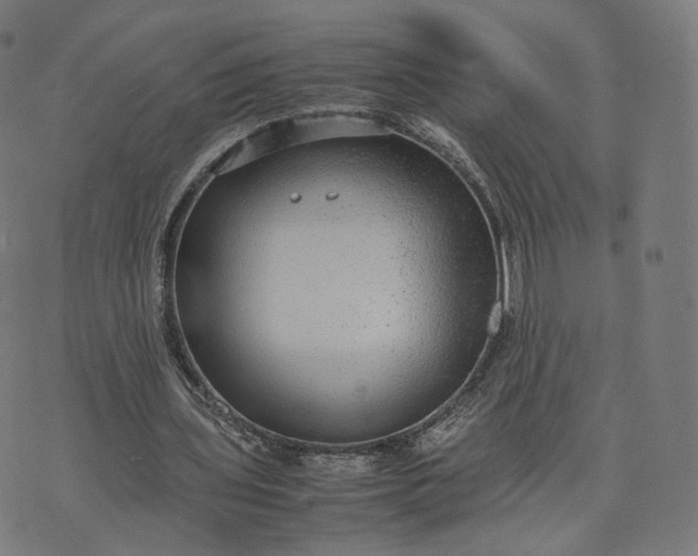 X0000070370435200606231651