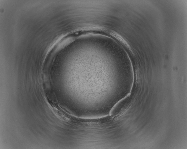 X0000070370436200606231651