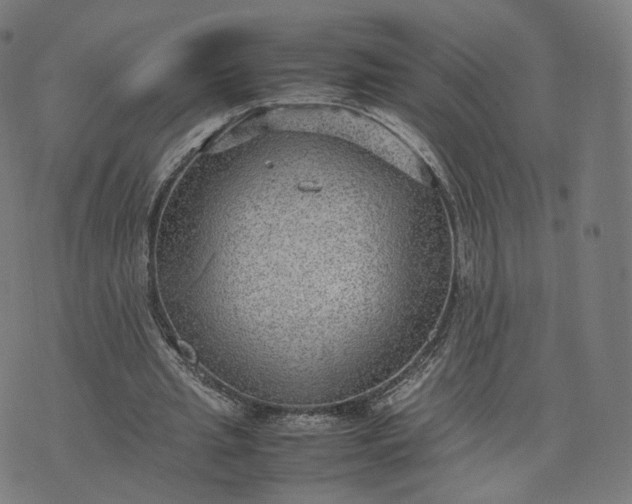 X0000070370437200606231651