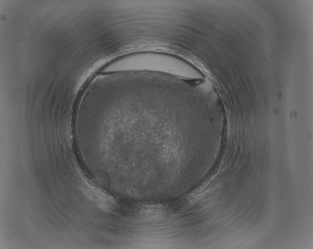 X0000070370438200606231651