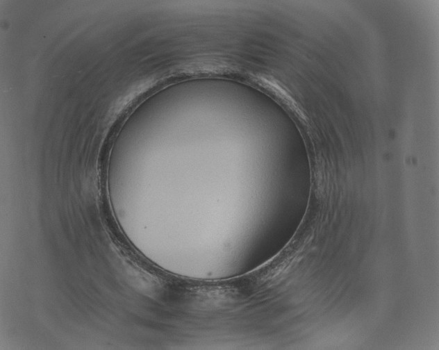 X0000070370439200606231651