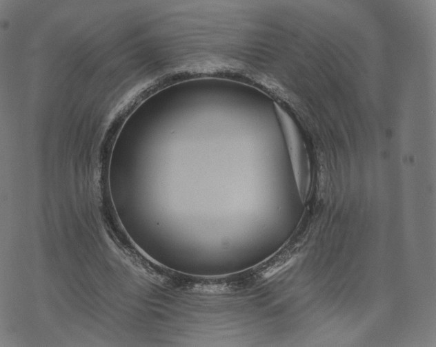 X0000070370440200606231651