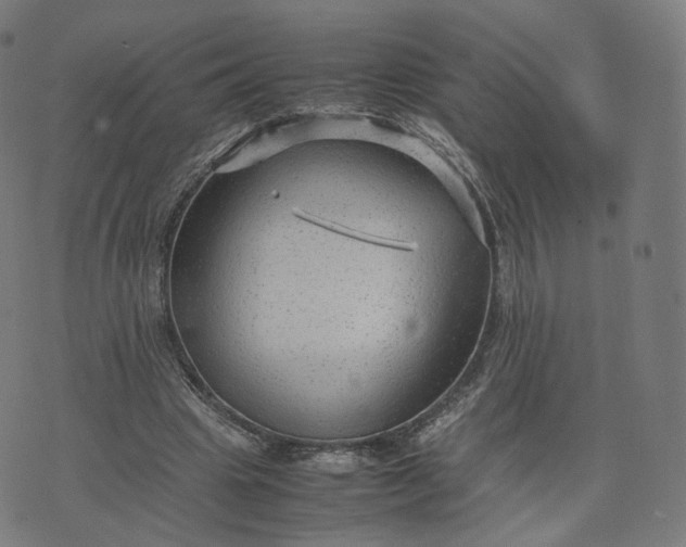 X0000070370441200606231651