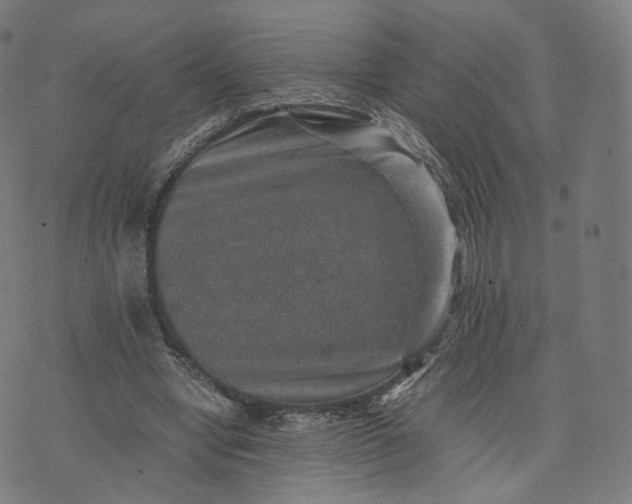 X0000070370442200606231651