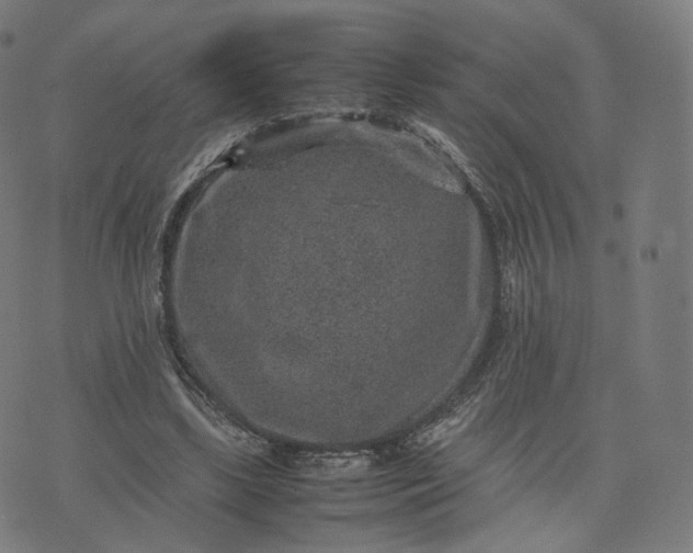 X0000070370443200606231651