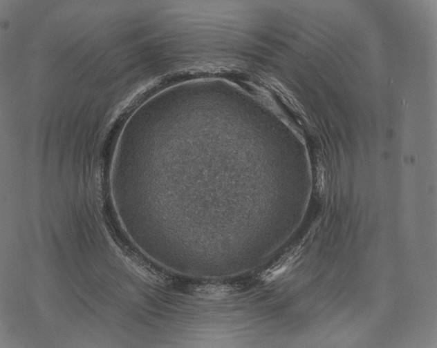 X0000070370444200606231651