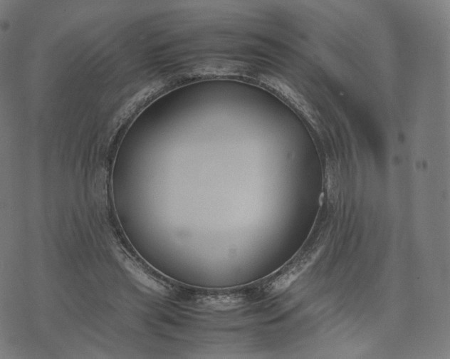 X0000070370445200606231651