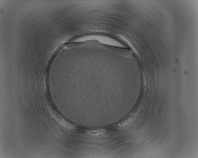 X0000070370447200606231651