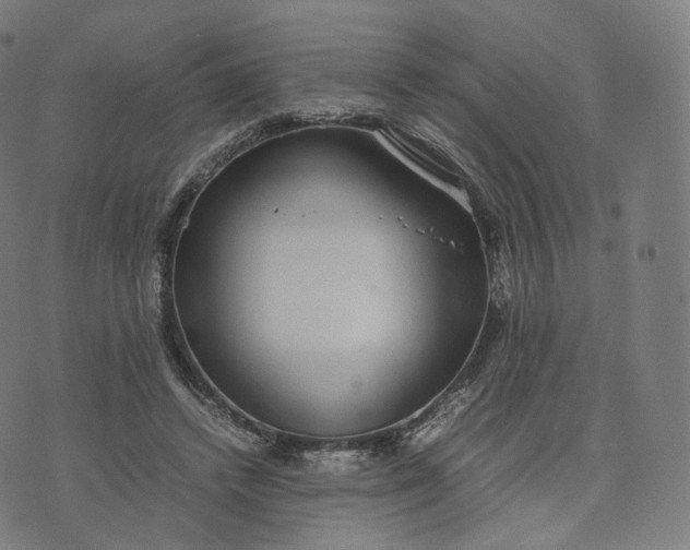 X0000070370448200606231651