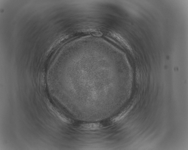 X0000070370449200606231651