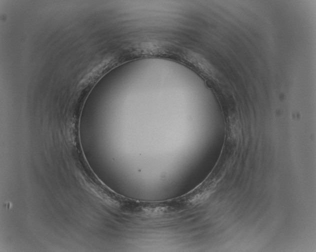 X0000070370450200606231651