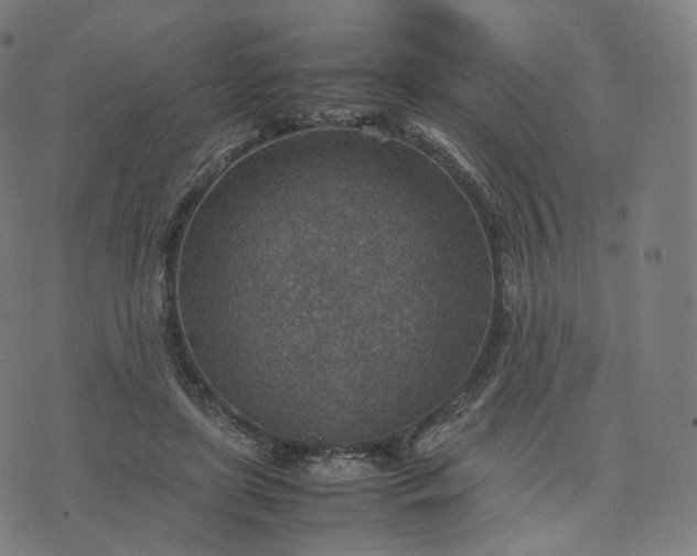 X0000070370451200606231651