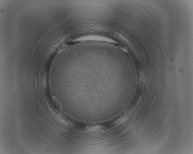 X0000070370452200606231651