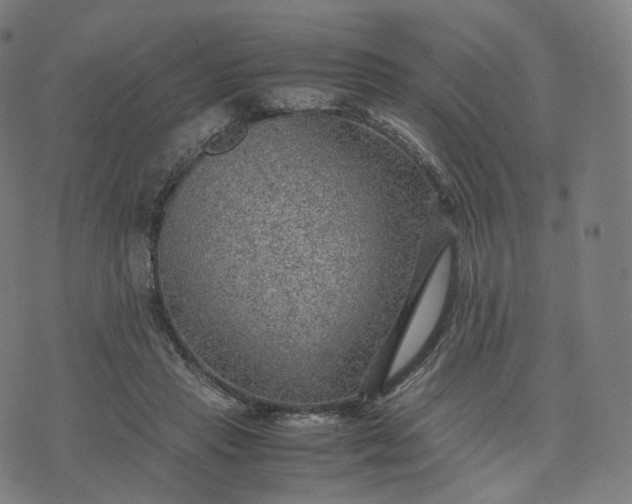 X0000070370453200606231651