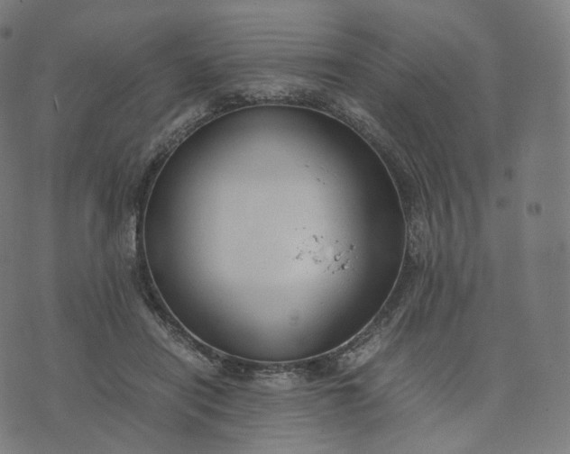 X0000070370454200606231651