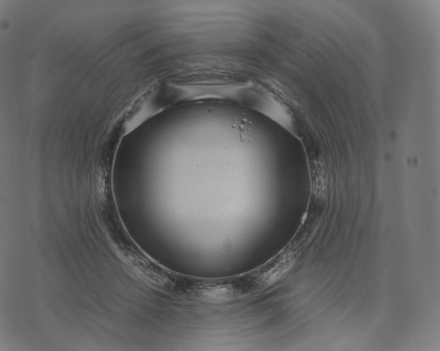 X0000070370456200606231651