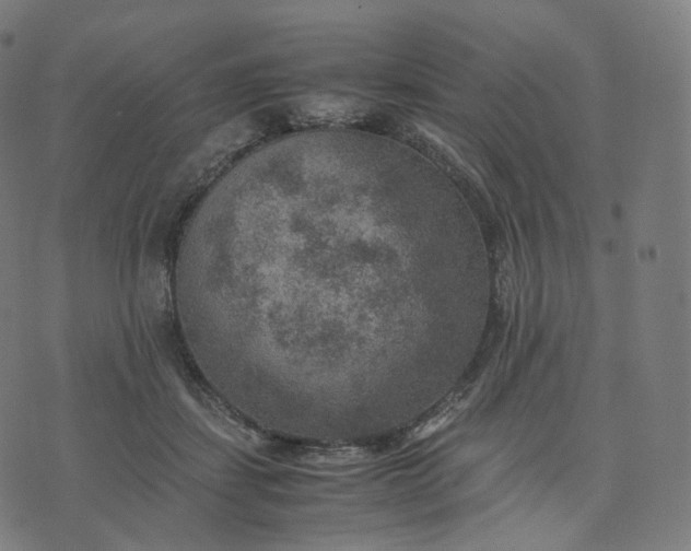 X0000070370459200606231651