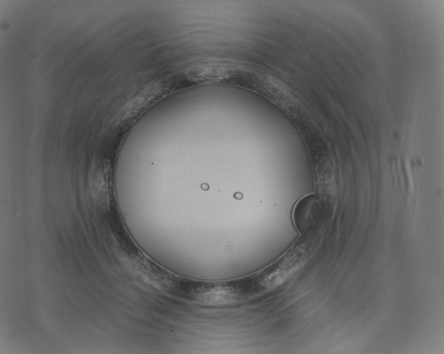 X0000070370460200606231651