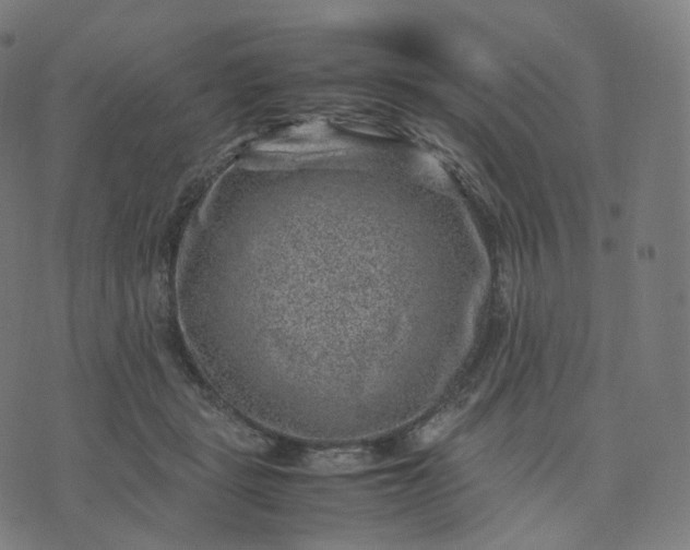 X0000070370461200606231651