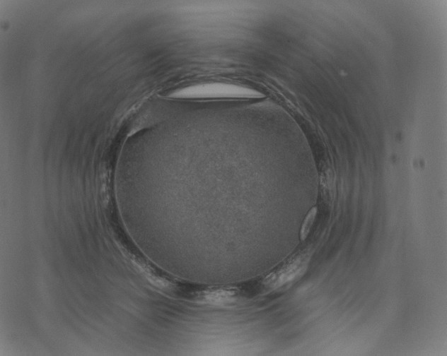 X0000070370462200606231651