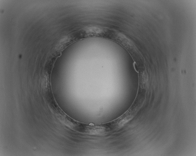 X0000070370463200606231651