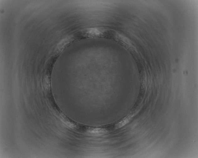 X0000070370467200606231652