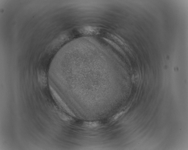 X0000070370469200606231652