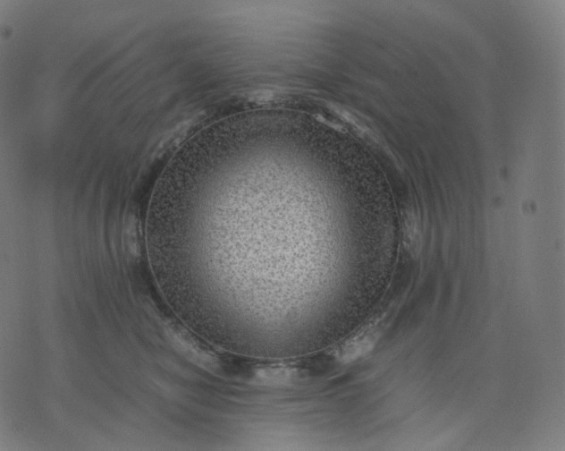 X0000070370470200606231652