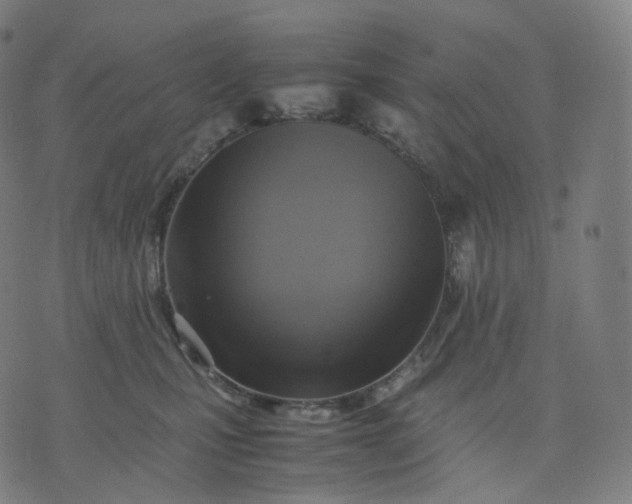 X0000070370471200606231652