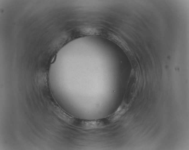 X0000070370473200606231652