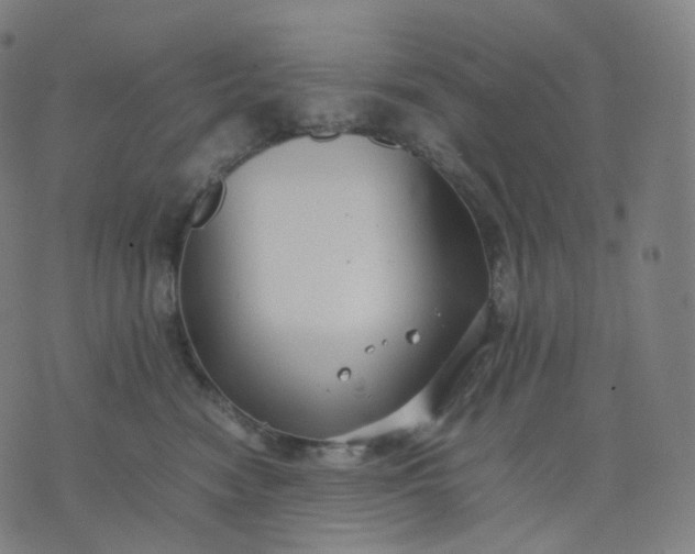 X0000070370474200606231652